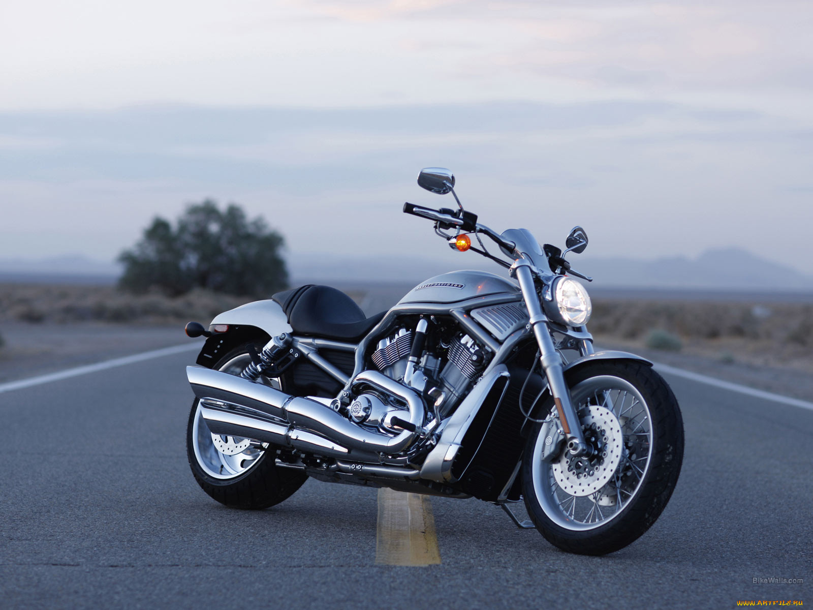 , harley, davidson